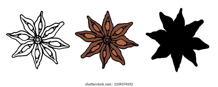 set of  spice star anise sketch, brown and black silhouette on white for design template. hand drawn seasonings whole anise top view in realistic style Vector isolated elements