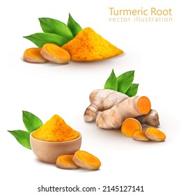 Set spice turmeric root. vector illustration.