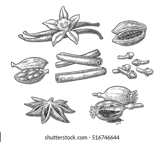 Set of spices. Anise star, cardamom, clove, cinnamon, fruits of cocoa beans, vanilla stick and flower, poppy heads. Isolated on white background. Vector black vintage engraving illustration.