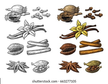 Set of spices. Anise star, cardamom, clove, cinnamon stick, fruits of cocoa beans, vanilla stick and flower, poppy heads and seeds. Color vintage engraving illustration isolated on white background