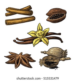 Set of spices. Anise star, cinnamon, fruits of cocoa beans, vanilla stick and flower, poppy heads and seeds. Isolated on white background. Vector color vintage engraving illustration.