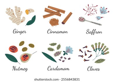 Set of spices for baking, doodle icons of ginger, nutmeg, cinnamon, cardamom, saffron, and clove in elegant spoons with roots, leaves, pods. Cooking theme. Vector illustration in flat cartoon style