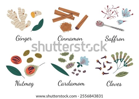 Set of spices for baking, doodle icons of ginger, nutmeg, cinnamon, cardamom, saffron, and clove in elegant spoons with roots, leaves, pods. Cooking theme. Vector illustration in flat cartoon style