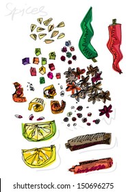 set of spices - cartoon