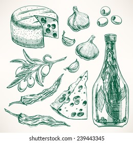 Set of spices, cheeses and vegetables. garlic, olives, chili pepper. hand-drawn illustration