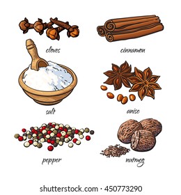 Set of spices - cinnamon, pepper, anise, nutmeg, salt, clove, isolated sketch style vector illustration on white background. Traditional cooking spices in Asian and Indian cuisine