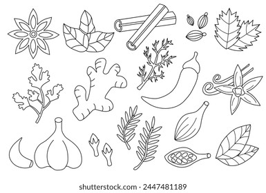 Set spices, condiments and herbs. Doodle Outline Line art collection icon, logo, stickers. Black and white. Vector flat illustration.