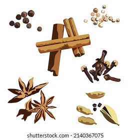 Conjunto de especias para cocinar sobre fondo blanco, especias ilustraciones vectoriales.