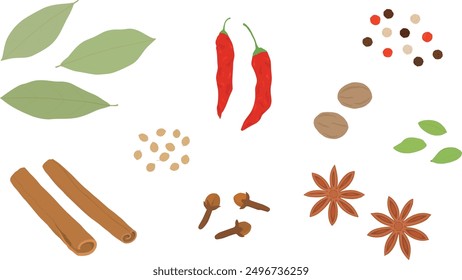 Set of spices. Hand drawn vector illustration. Bay leaves, cinnamon stick, chili pepper, coriander seed, clove, peppercorn, nutmeg, cardamon, star anis.