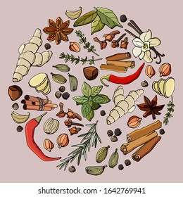   Set of spices and herbs in a circle. Ginger, basil, chili, nuts, rosemary, cardamom, cloves, cinnamon, anise star, garlic, bay leaf, vanilla. Cartoon style. Stock illustration.