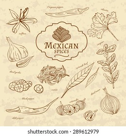 Set of spices and herbs cuisines of the world Latin America Mexico on old paper in vintage style. Vector illustration