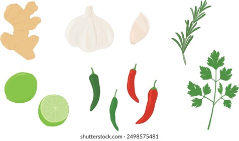 Set of spices and herbs. Ginger, garlic, lime, chili pepper, rosemary,  parsley. Hand drawn vector illustration.