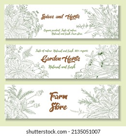 A set of spices, herbs and spices. Hand drawing. Vector for menu, restaurant,
food and kitchen design.