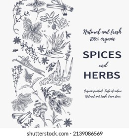 A set of spices, herbs and spices. Hand drawing. Vector for menu, restaurant,
