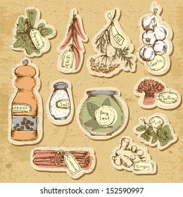 Set of spices and herbs. Vector Illustration.