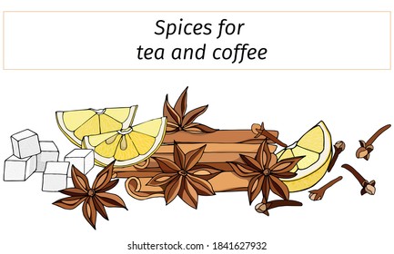 A set of spices for hot winter drinks: cinnamon, anise, lemon and vanilla. Vector illustration isolated on white background.