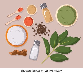 set of spices illustration vector