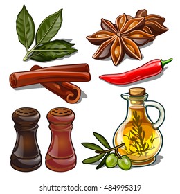 Set of spices isolated on white background. Image of ingredients for a cookbook. Vector illustration.
