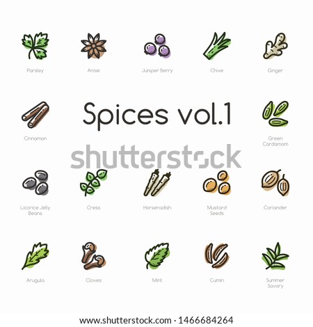 Set of spices line icons isolated on light background. Contains such icons as cinnamon, arugula, cloves, chive, cumin and more.