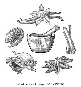 Set of Spices, Mortar and Pestle. Anise star, cinnamon, fruits of cocoa beans, vanilla stick and flower, poppy heads and seeds. Isolated on white background. Vector black vintage engraving