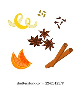 Set of spices for mulled wine. Vector isolated color illustration.
