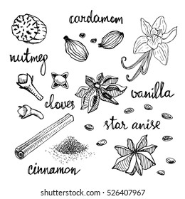Set of spices: nutmeg, cardamom, cloves, vanilla, star anise, cinnamon. Hand drawn spices in sketchy style isolated on white background. Vector illustration. 