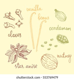 Set of spices: nutmeg, cardamom, cloves, vanilla, star anise. Isolated hand drawn spices in sketchy style. Colorful vintage background.