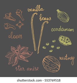 Set of spices: nutmeg, cardamom, cloves, vanilla, star anise. Isolated hand drawn spices in sketchy style. Colorful vintage background.