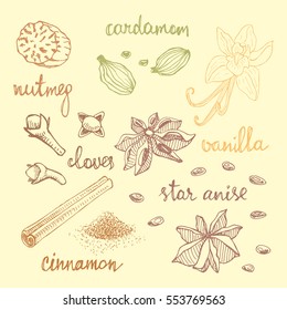 Set of spices: nutmeg, cardamom, cloves, vanilla, star anise, cinnamon. Isolated hand drawn spices in sketchy style. Colorful vintage background.