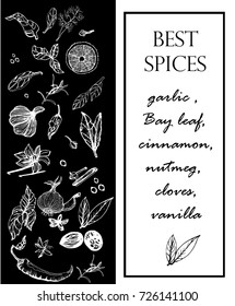 set of spices on black background , vector, chalk on a blackboard