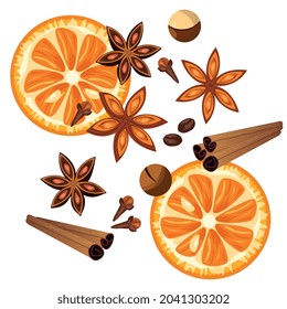 A set of spices and a slice of orange, macadamia nuts. Vector drawing by hand, the finished image in a flat style.