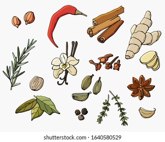 Set of spices. Vanilla, cinnamon, nuts, pepper, cardamom, ginger, garlic, thyme, star anise, rosemary, cloves, bay leaf. White background, isolation. Cartoon style. Stock illustration.