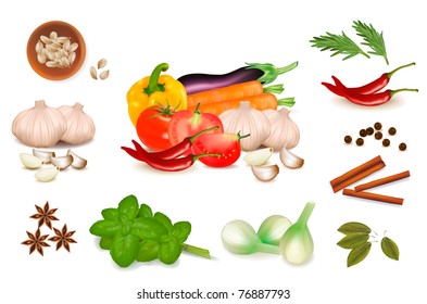 Set with spices and vegetables. Vector illustration.