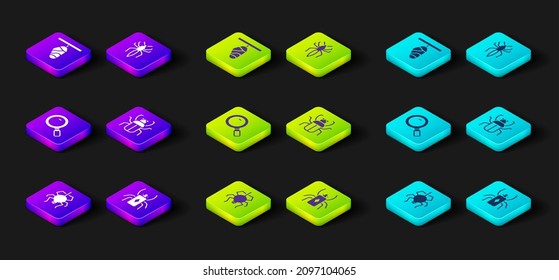 Set Spider, Beetle bug, Magnifying glass, Stink,  and Butterfly cocoon icon. Vector