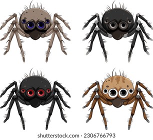 Set of spider cartoon isolated illustration