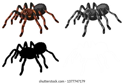 Set of spider character illustration