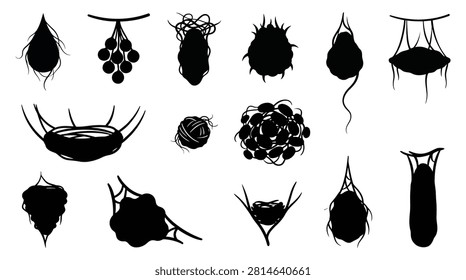 Set of spider egg sacs and insect nests, hanging cocoons and webs