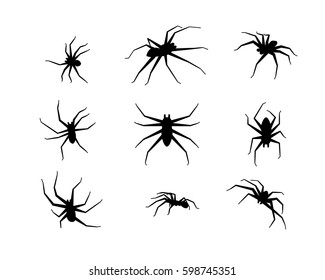 Set of spider icons in silhouette style, vector