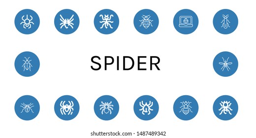 Set of spider icons such as Spider, Black widow, Mantis, Bed bug, Bug, Stonefly, Tarantula, Acari, Louse, Pheidole, Cockroach, Mosquito , spider