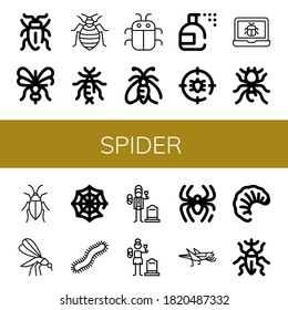 Set of spider icons. Such as Sap beetle, Mosquito, Bed bug, Earwig, Bug, Moth, Insecticide, Anti bug, Pheidole, Cockroach, Spider web, Centipede, Widower, Widow , spider icons