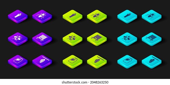 Set Spider in jar, Butterfly cocoon, Insect, Hive for bees, Ant and Larva insect icon. Vector