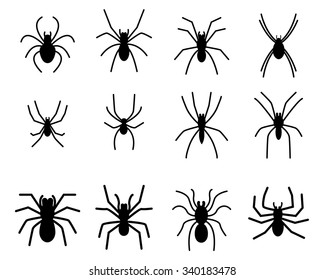 Set of spider silhouette icon and symbol