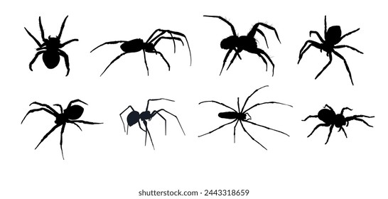 set of spider silhouette isolated	