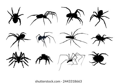 set of spider silhouette isolated	