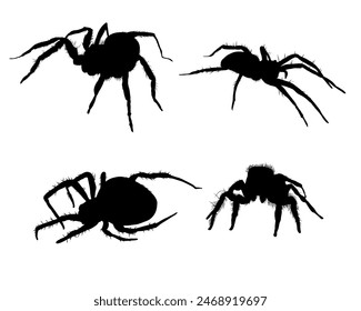 Conjunto de silueta de araña aislado - Ilustración vectorial	