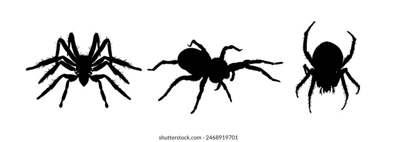 Set of spider silhouette isolated - vector illustration	