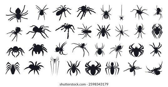 Set of spider silhouette isolated vector illustration