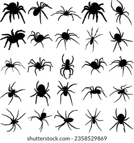 Set of spider silhouettes, isolated vector  on white background
