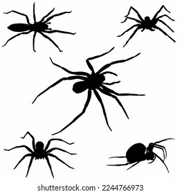 set of spider silhouettes on white background. vector