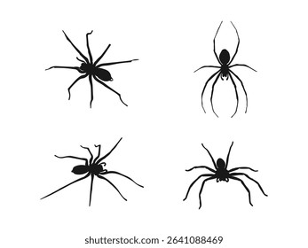 A set of spider silhouettes. Silhouetted Spider Vector Graphics for Design Purposes. Black icons of spiders isolated on a white background.